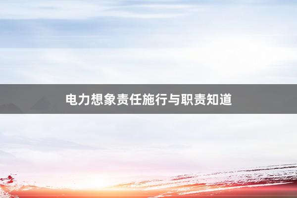 电力想象责任施行与职责知道