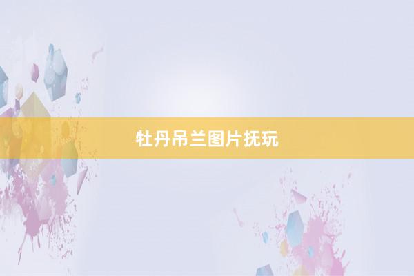 牡丹吊兰图片抚玩