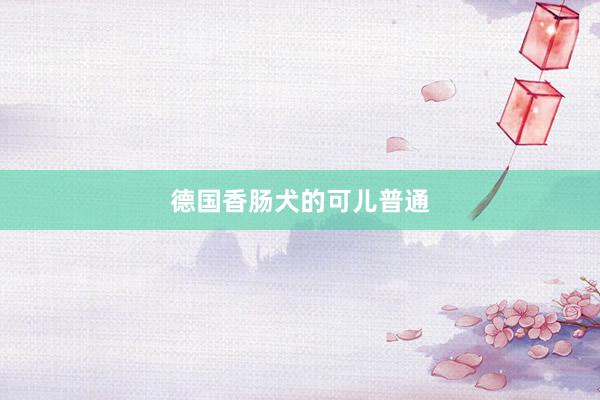 德国香肠犬的可儿普通