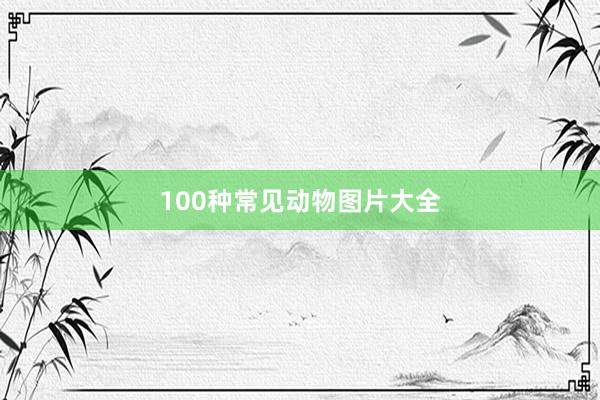 100种常见动物图片大全